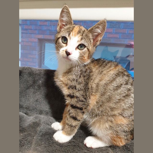 Photo of Summer 🌻