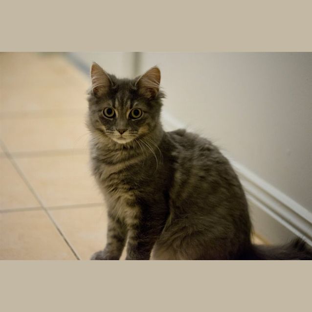 Photo of Stormy