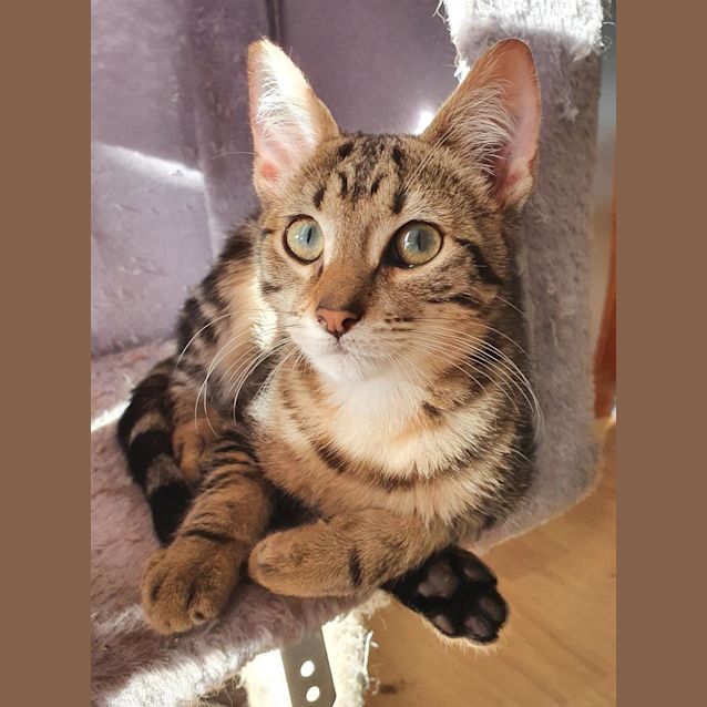 Photo of Freddy
