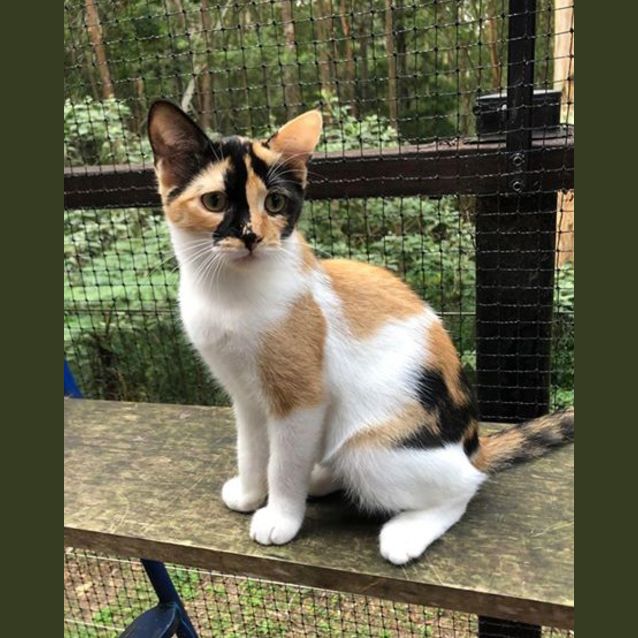 Photo of Wednesday 