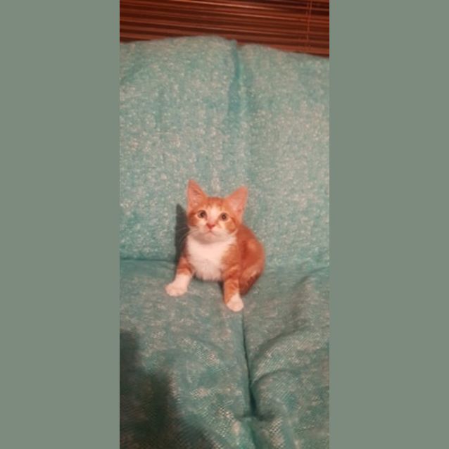 Photo of Hudson