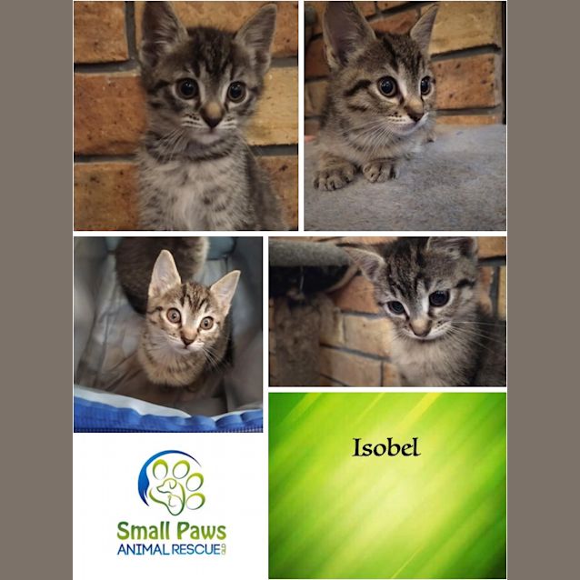 Photo of Isobel