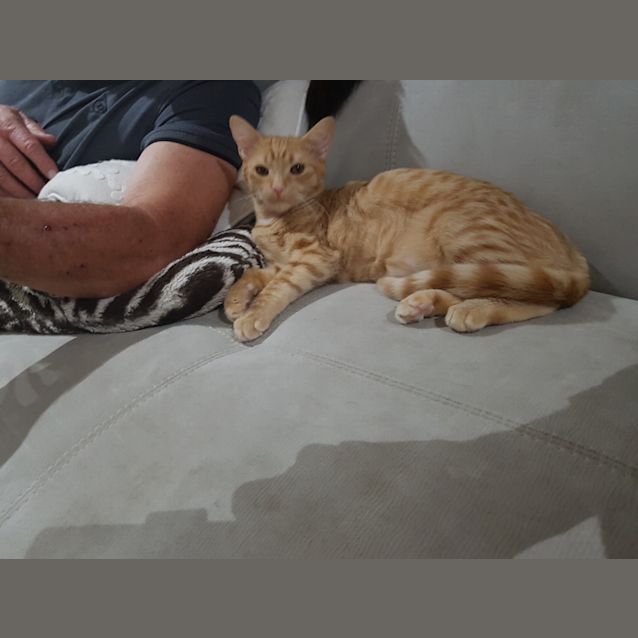 Photo of Honey 