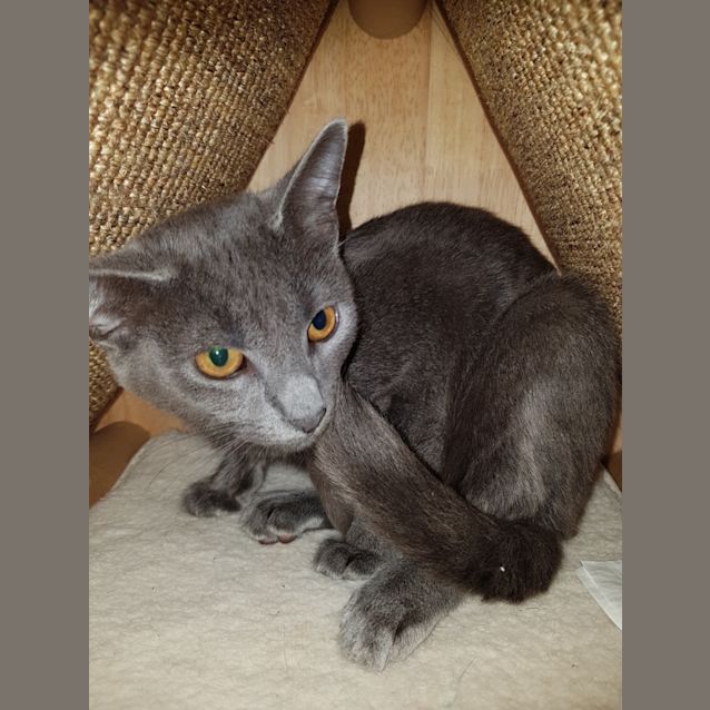 Photo of Vlad
