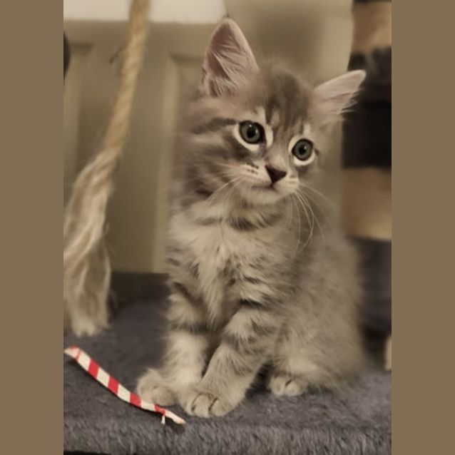 Photo of Baby