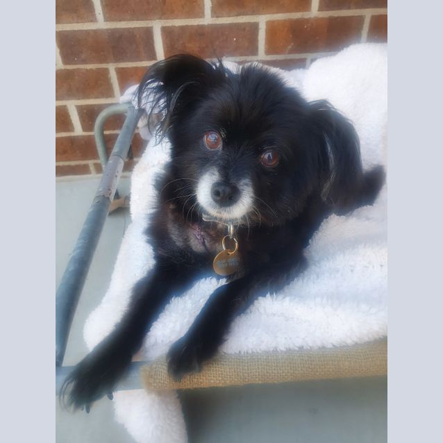 Photo of Gladys