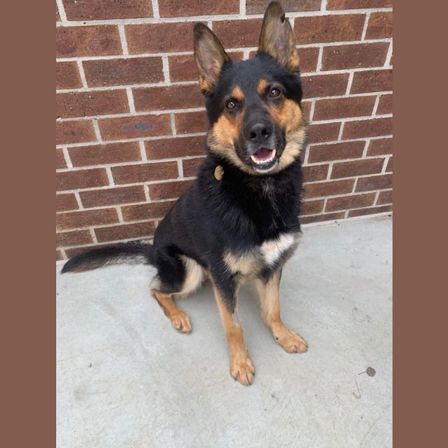 Photo of Macho