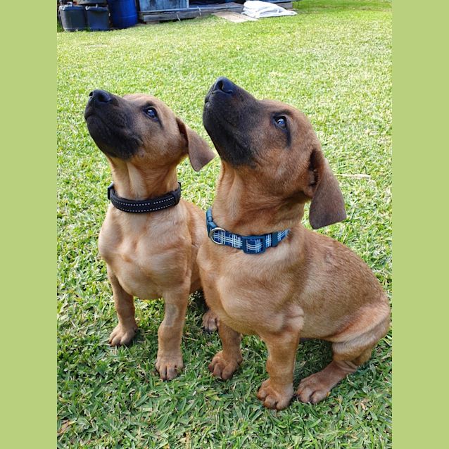 Photo of Tobi 🧸️