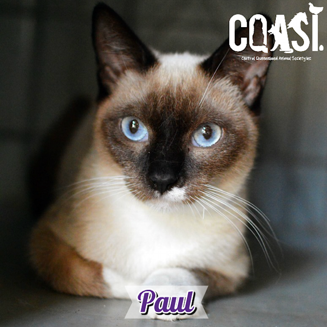 Photo of Paul