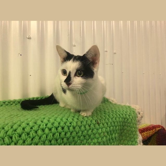 Photo of Peppermint Patty