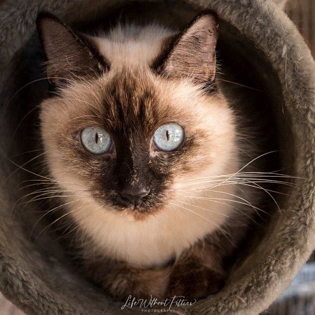 Photo of Zuri