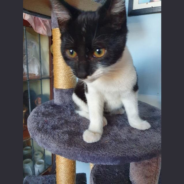 Photo of Tabitha