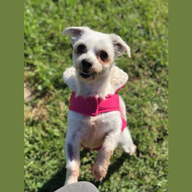 Photo of Mia