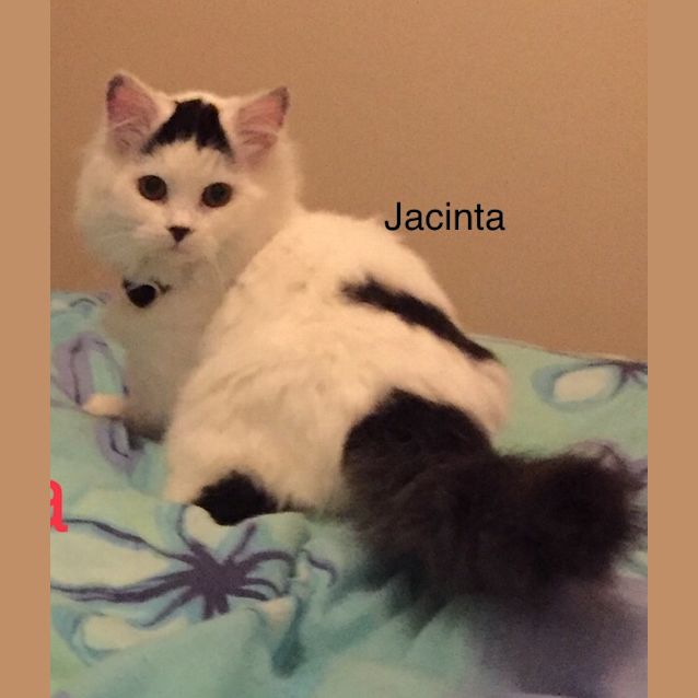Photo of Jacinta 