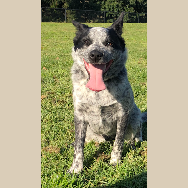 Photo of Arlo 