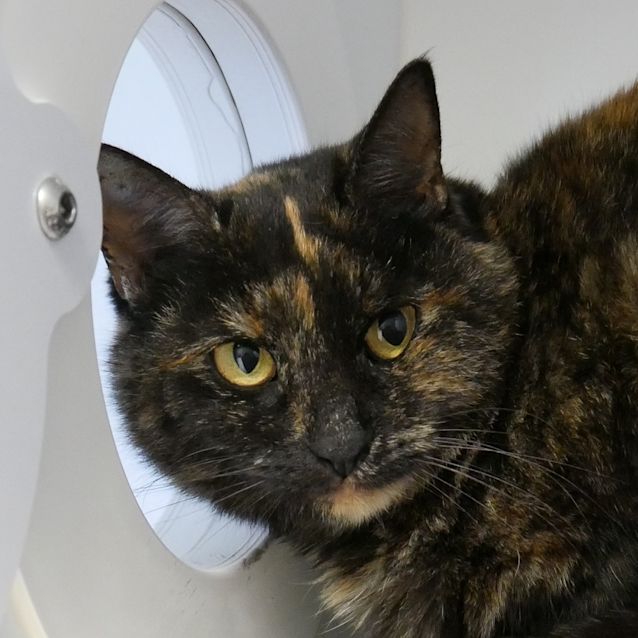 Photo of Mirabelle Sta005239