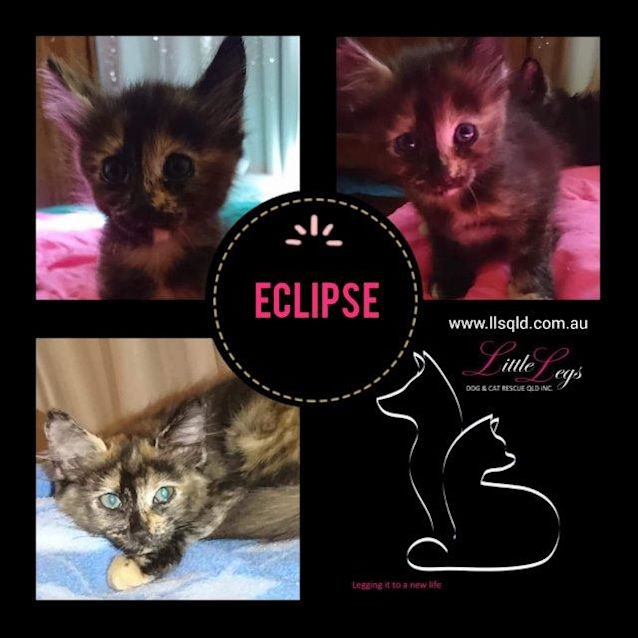 Photo of Eclipse