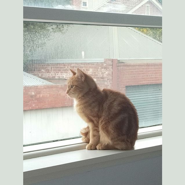Photo of Rupert