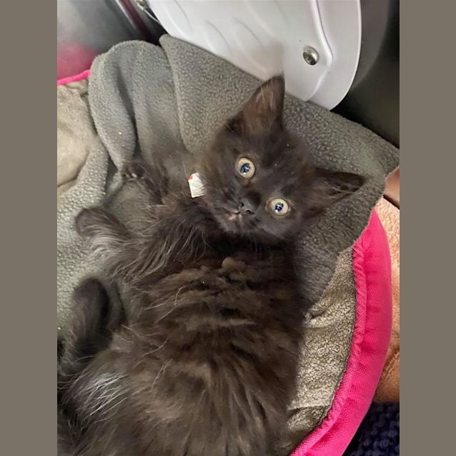 Photo of Maggie