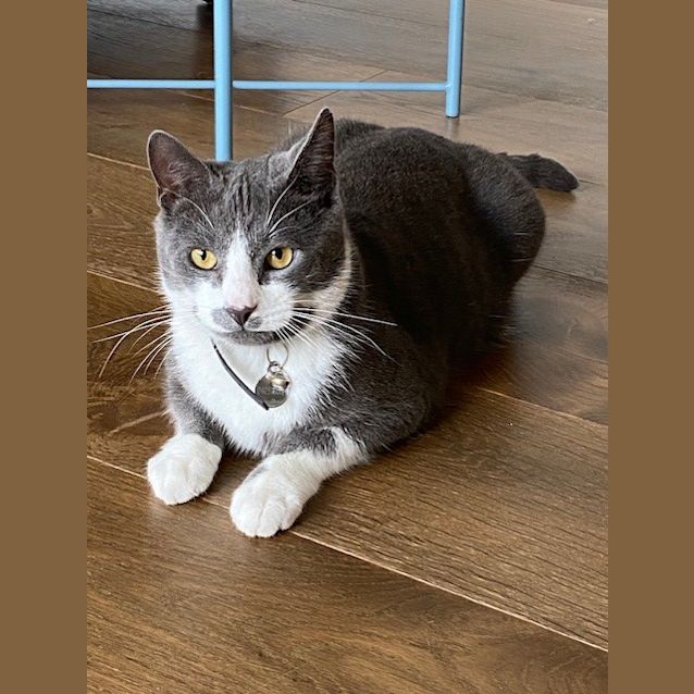 Photo of Bad Boy Billy