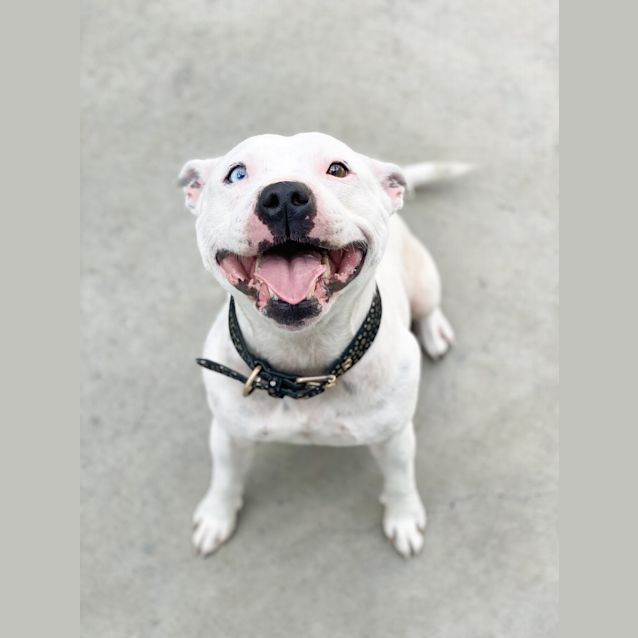Photo of Sally