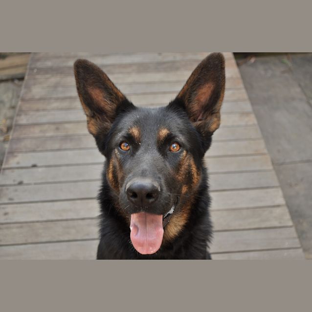 Photo of Roxy