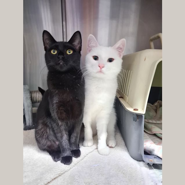 Photo of Titan & Arena