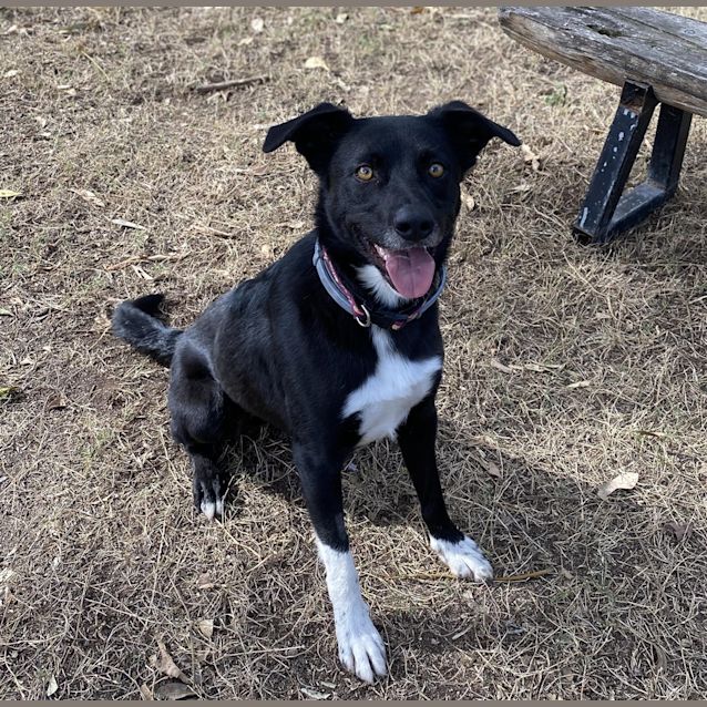 Photo of Jilly