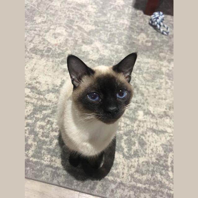 Photo of Gus 