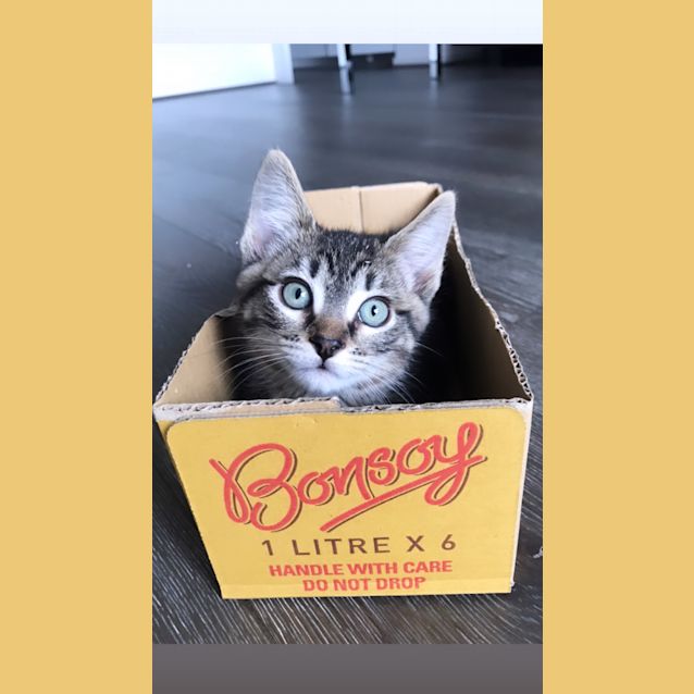 Photo of Gabriel (γαβριηλ)