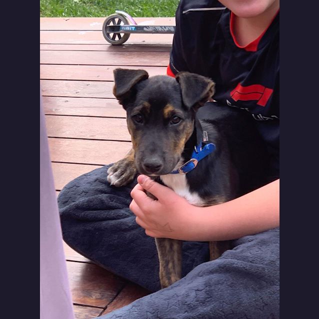 Photo of Lochie