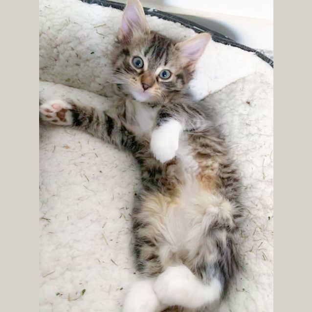 Photo of Cordelia💋