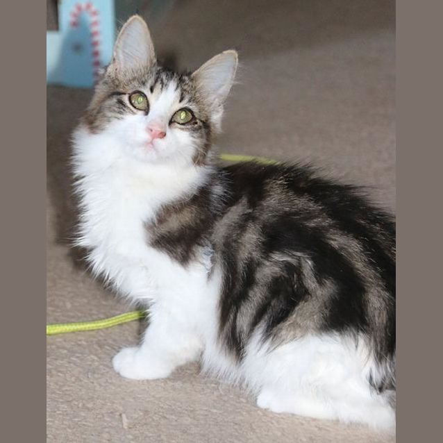 Photo of Sunshine Luna
