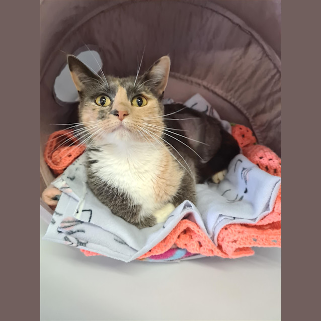 Photo of Baby
