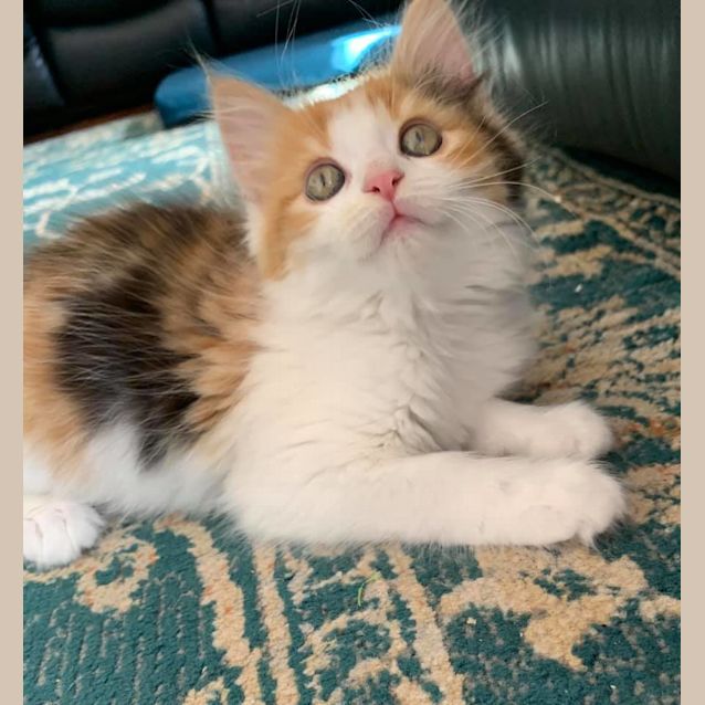 Photo of Evelyn 