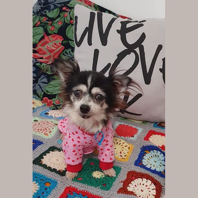 Photo of Duchess