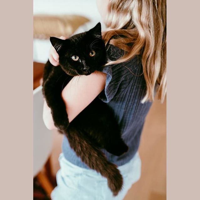 Photo of Bugalugs Three Legs