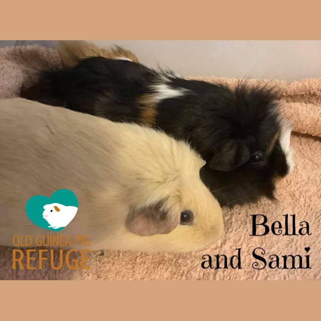 Photo of Bella And Sami (Unsuitable For Children Under 12)