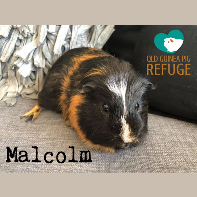 Photo of Malcolm