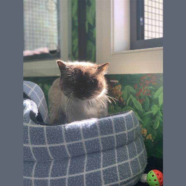 Photo of Annie