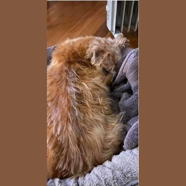 Photo of Aldi Dl2457