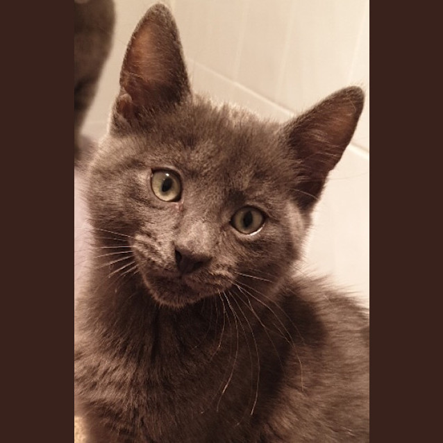 Photo of Stormie