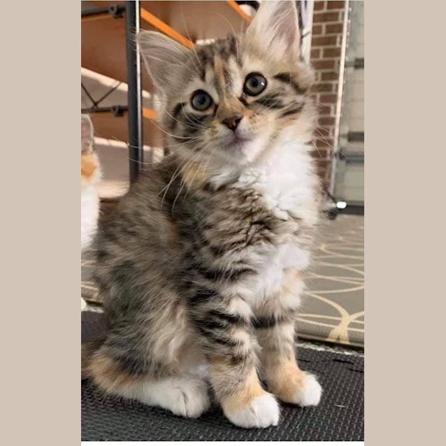 Photo of Willow 💐 