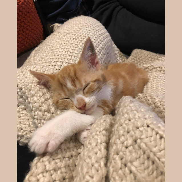 Photo of Hamish 