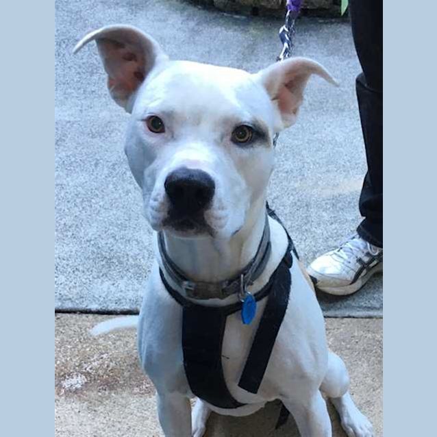Photo of Tilly