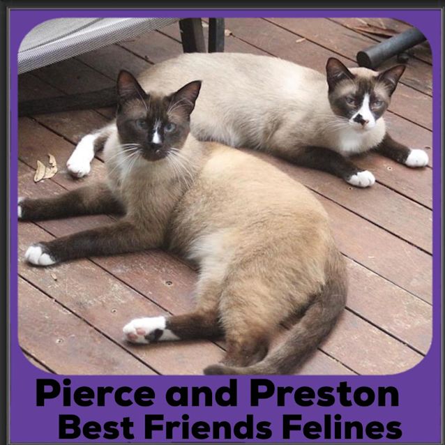Photo of Pierce And Preston