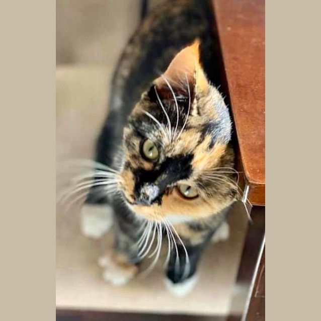 Photo of Alice