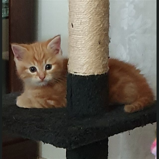 Photo of Jax