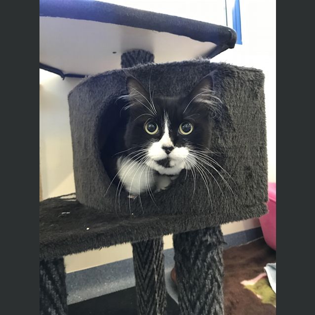 Photo of Charlie