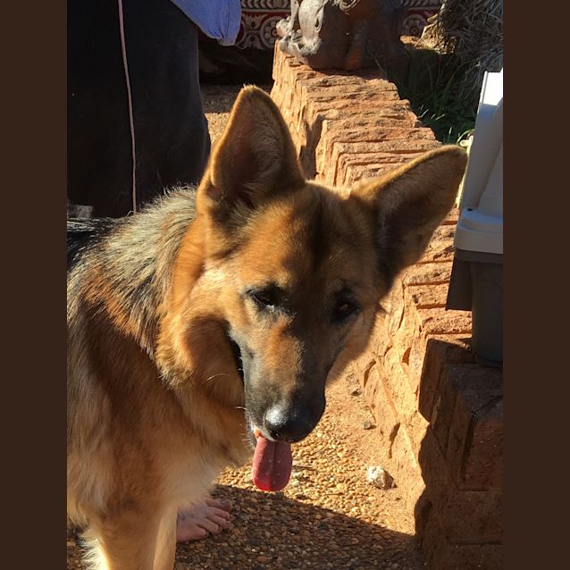 Photo of Victoria (Bonded With Jonathon)